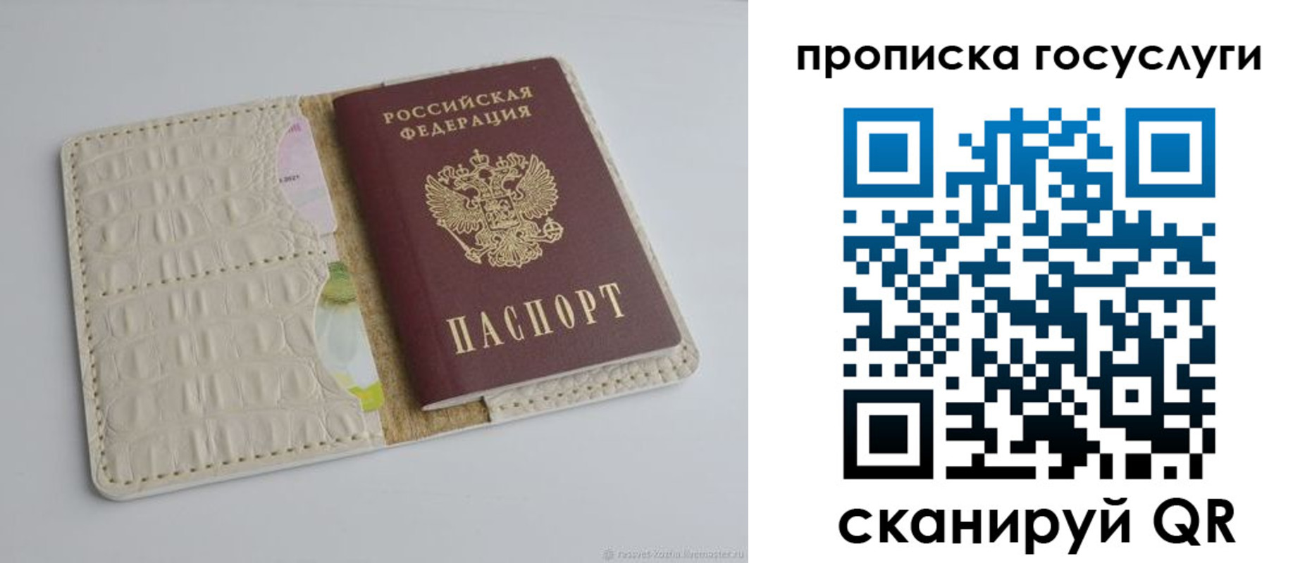 где прописаться в Новотроицке